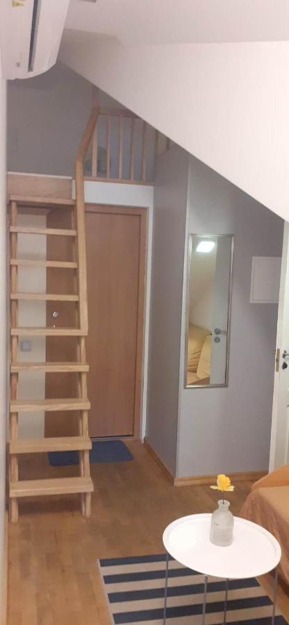 Loft Style Apartments In Kaunas Center 外观 照片